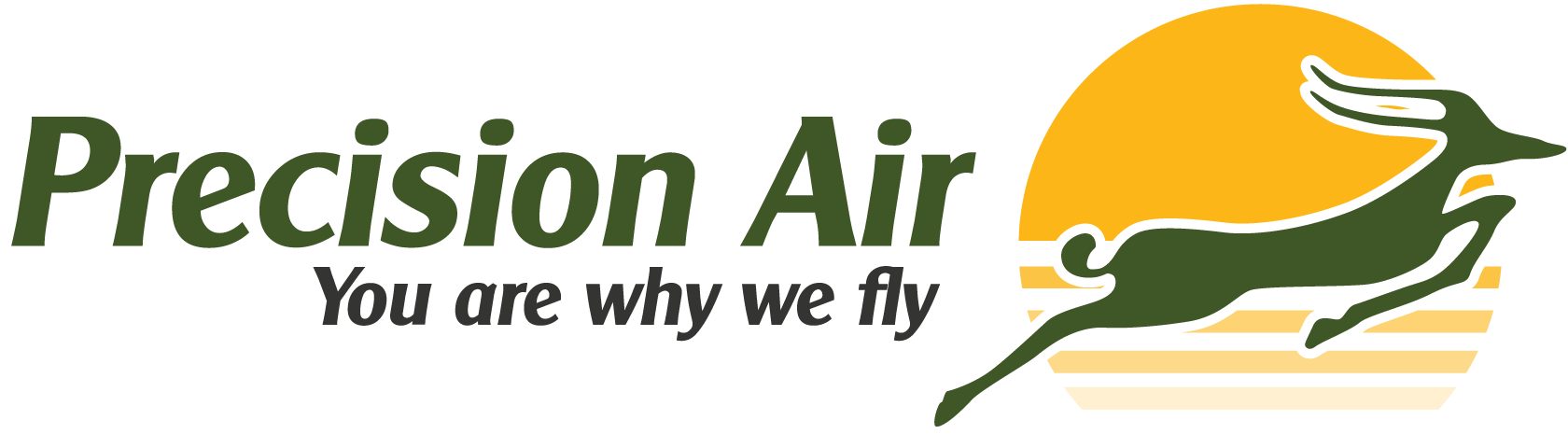 Precision_Air Logo