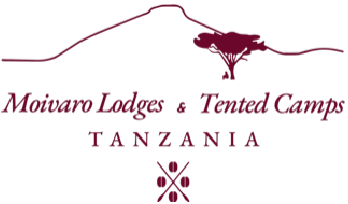 Moivaro Lodge-logo